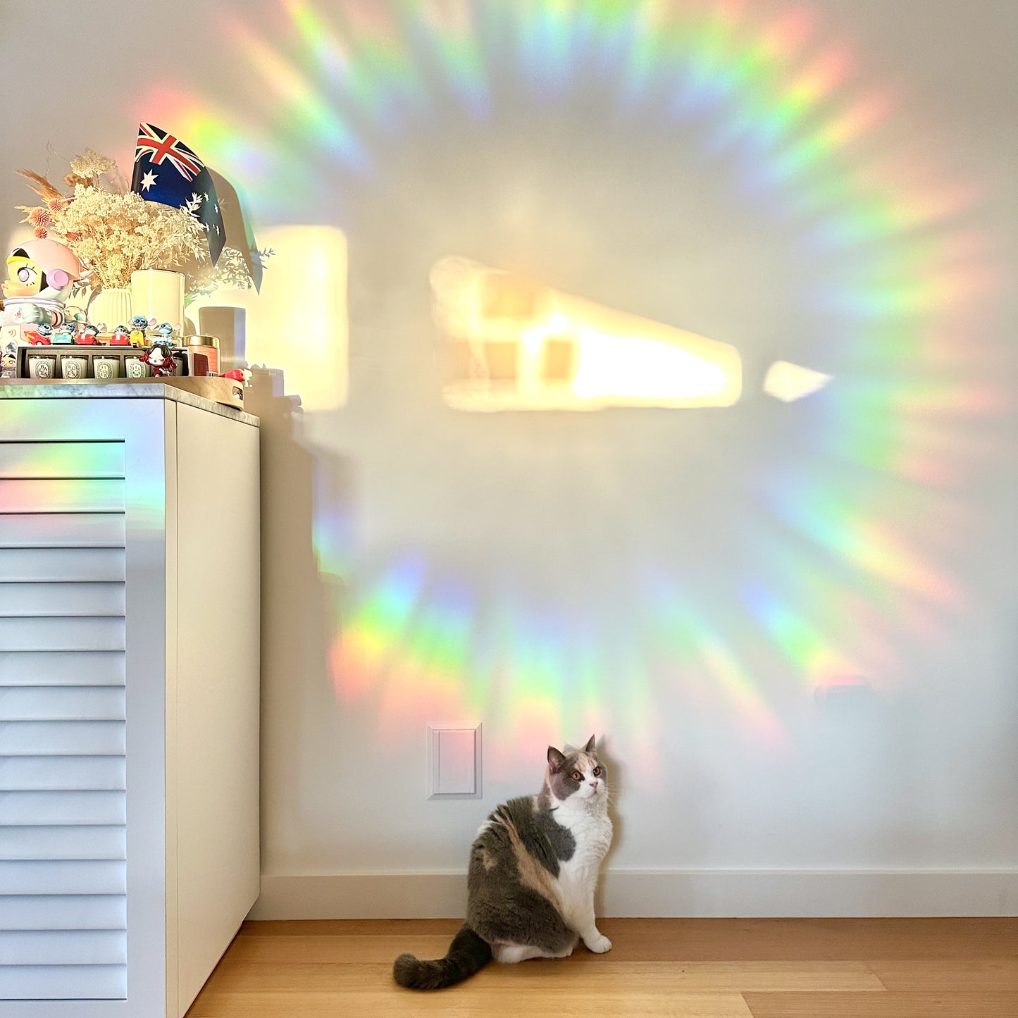 Tetris Cute Cat Sun Catcher