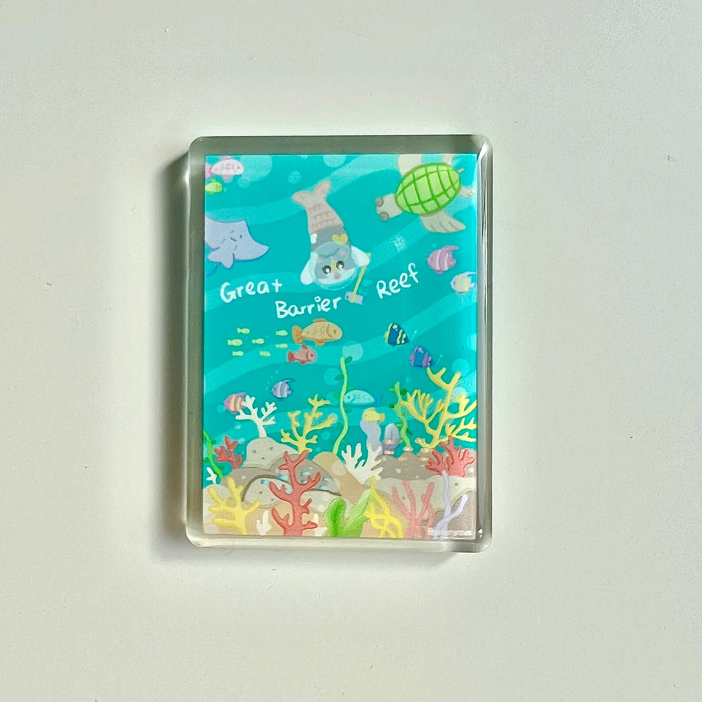 Australia Souvenir Fridge Magnets, Iconic Landmarks, Wildlife, Kangaroo, Koala, Aussie Food Travel Gift, Cute Cat Magnet