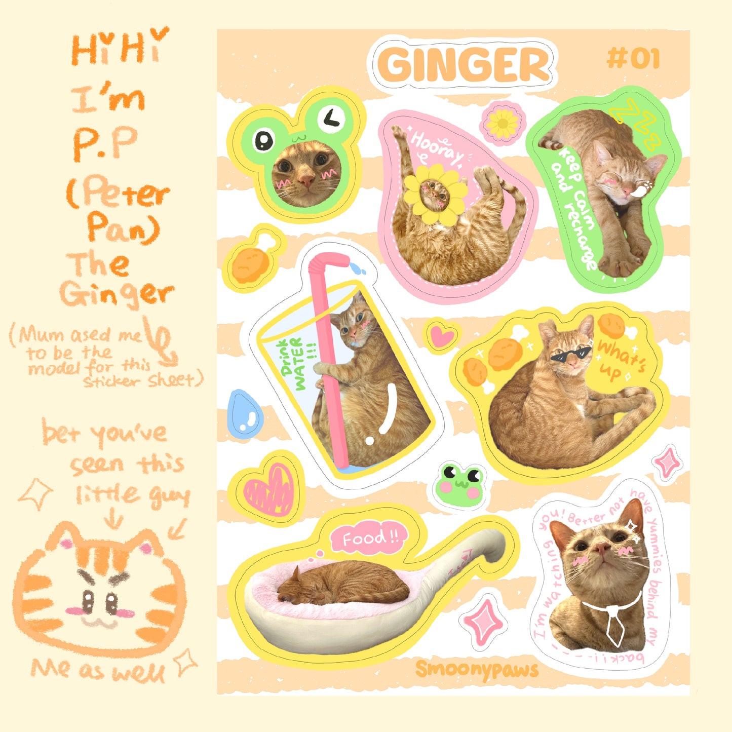 Ginger | Cute Cat Sticker Sheet | Bullet Journal, Planner, Scrapbook, Water Bottle, Laptop Decal, Animal Stickers