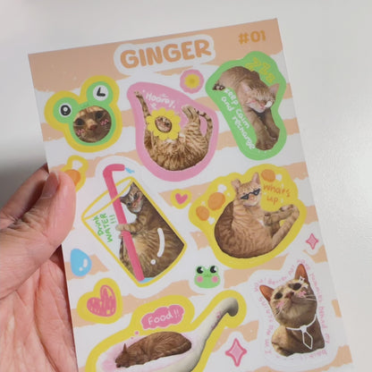 Ginger | Cute Cat Sticker Sheet | Bullet Journal, Planner, Scrapbook, Water Bottle, Laptop Decal, Animal Stickers